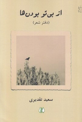 تصویر  از بي تو بودن ها (دفتر شعر)