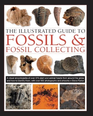 تصویر  The Illustrated Guide To Fossils & Fossil Collecting