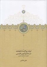 تصویر  ابيات پراكنده شاهنامه در منابع كهن فارسي (تا پايان سال هفتصد هجري)
