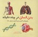 تصویر  بدن انسان در چند دقيقه (مفهوم هاي كليدي بدن انسان به زبان ساده)