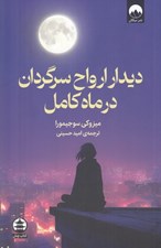 تصویر  ديدار ارواح سرگردان در ماه كامل