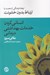 تصویر  انساني كردن خدمات بهداشتي درماني (ايجاد فرهنگي از محبت با ارتباط بدون خشونت)