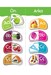 تصویر  پازل Learning Alphabet (5831)