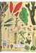 تصویر  دفتر رحلي 100 برگ Botany plants